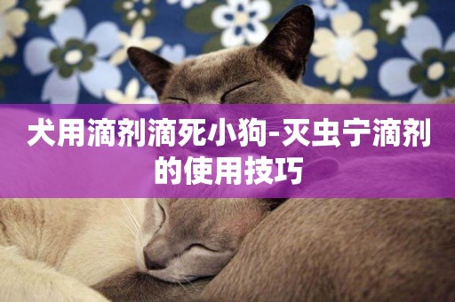 犬用滴劑滴死小狗-滅蟲寧滴劑的使用技巧