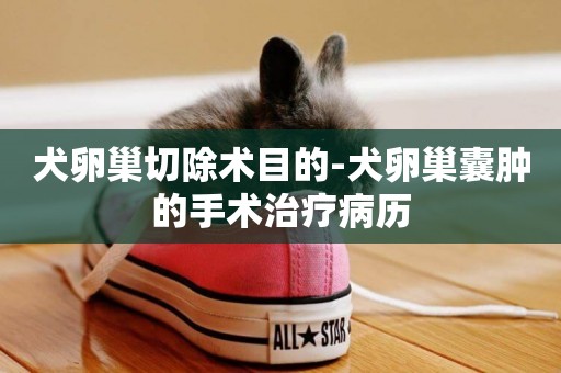 犬卵巢切除術目的-犬卵巢囊腫的手術治療病歷
