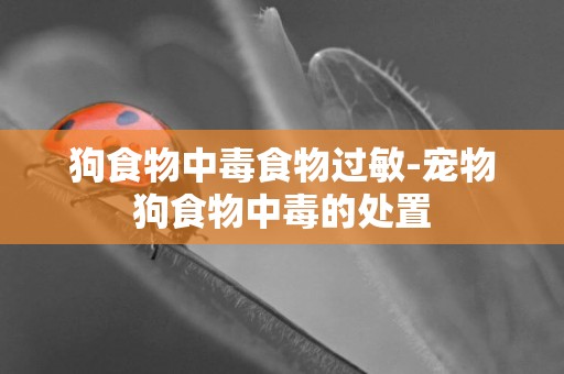狗食物中毒食物過敏-寵物狗食物中毒的處置