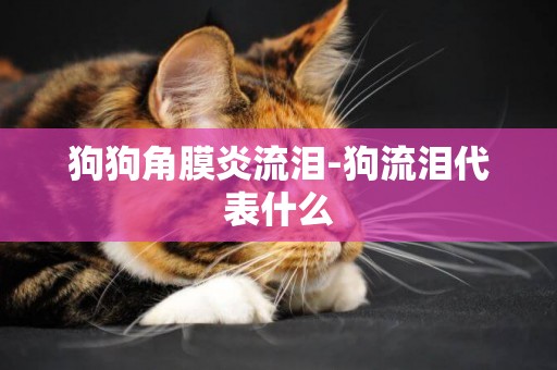 狗狗角膜炎流淚-狗流淚代表什么