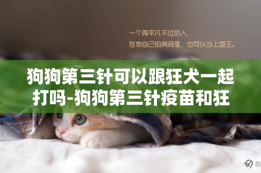 狗狗第三針可以跟狂犬一起打嗎-狗狗第三針疫苗和狂犬一起打