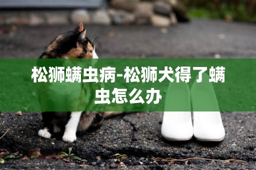 松獅螨蟲病-松獅犬得了螨蟲怎么辦
