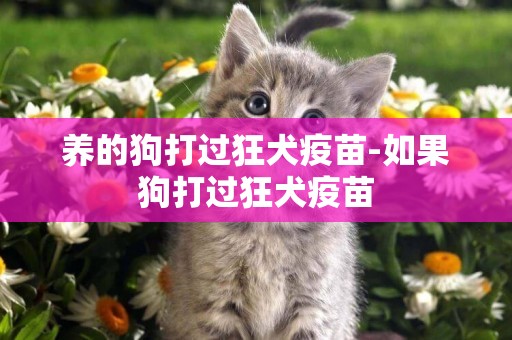 養的狗打過狂犬疫苗-如果狗打過狂犬疫苗
