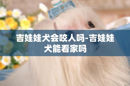 吉娃娃犬會咬人嗎-吉娃娃犬能看家嗎