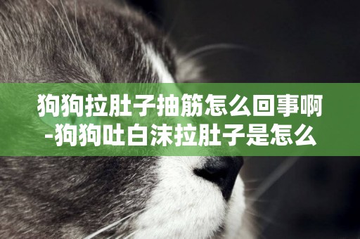 狗狗拉肚子抽筋怎么回事啊-狗狗吐白沫拉肚子是怎么回事啊