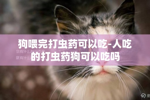狗喂完打蟲藥可以吃-人吃的打蟲藥狗可以吃嗎