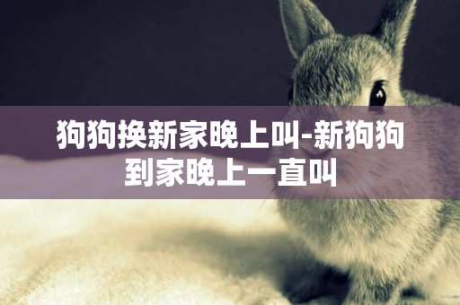 狗狗換新家晚上叫-新狗狗到家晚上一直叫