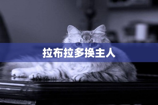 拉布拉多換主人