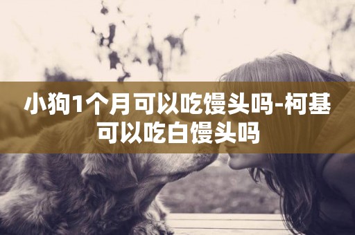 小狗1個月可以吃饅頭嗎-柯基可以吃白饅頭嗎