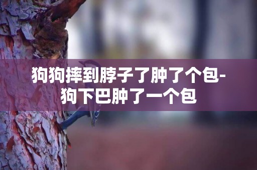 狗狗摔到脖子了腫了個包-狗下巴腫了一個包