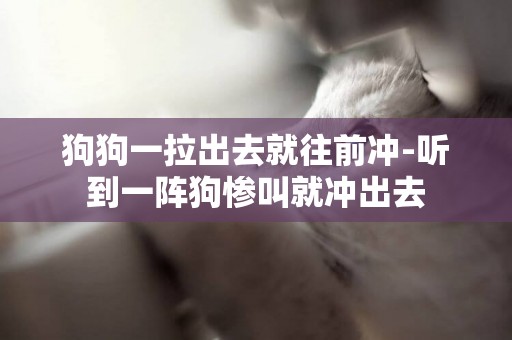 狗狗一拉出去就往前沖-聽到一陣狗慘叫就沖出去