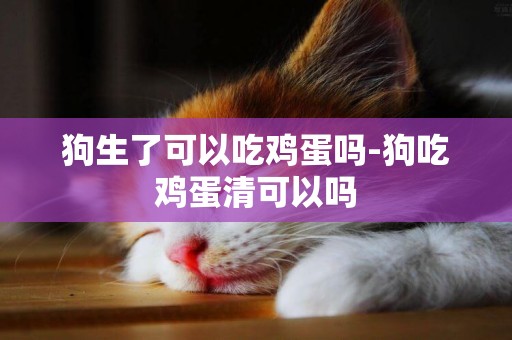 狗生了可以吃雞蛋嗎-狗吃雞蛋清可以嗎