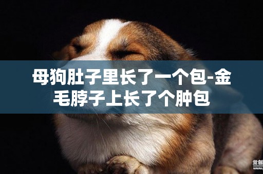 母狗肚子里長了一個包-金毛脖子上長了個腫包