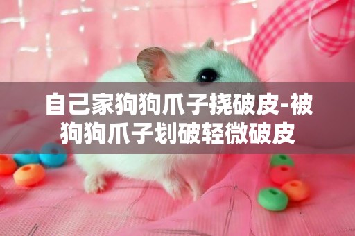 自己家狗狗爪子撓破皮-被狗狗爪子劃破輕微破皮
