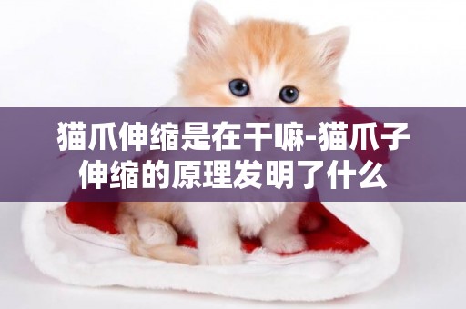 貓爪伸縮是在干嘛-貓爪子伸縮的原理發明了什么