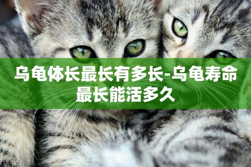 烏龜體長最長有多長-烏龜壽命最長能活多久