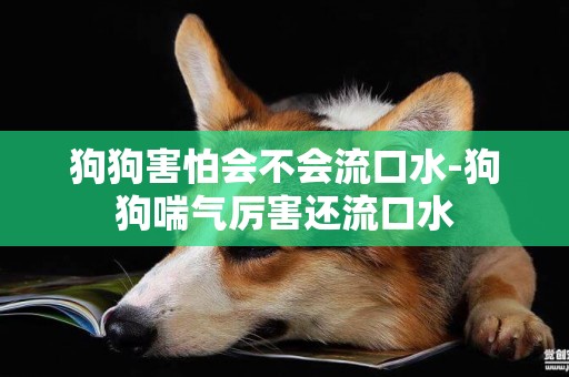 狗狗害怕會不會流口水-狗狗喘氣厲害還流口水