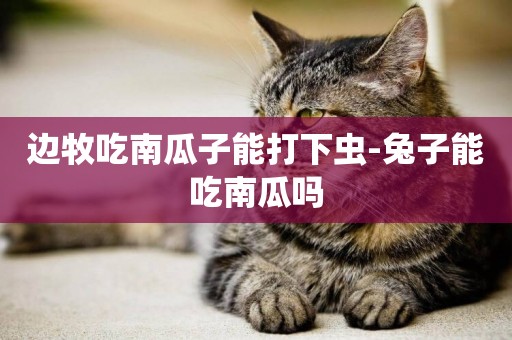 邊牧吃南瓜子能打下蟲-兔子能吃南瓜嗎