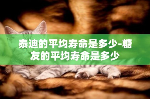 泰迪的平均壽命是多少-糖友的平均壽命是多少