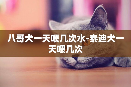 八哥犬一天喂幾次水-泰迪犬一天喂幾次