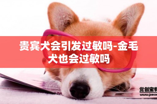 貴賓犬會引發過敏嗎-金毛犬也會過敏嗎