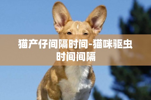 貓產仔間隔時間-貓咪驅蟲時間間隔