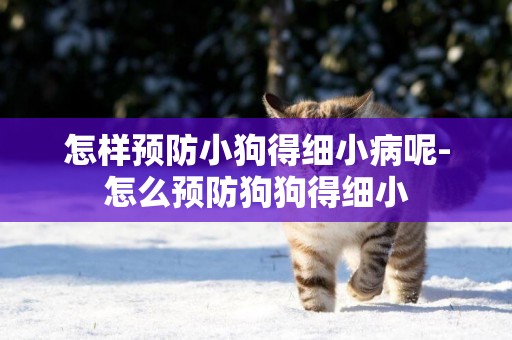 怎樣預防小狗得細小病呢-怎么預防狗狗得細小