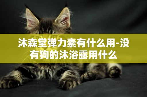 沐森堂彈力素有什么用-沒有狗的沐浴露用什么
