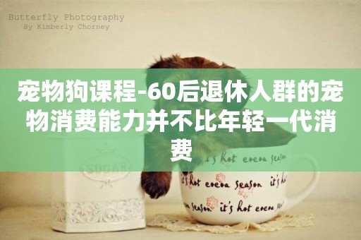 寵物狗課程-60后退休人群的寵物消費能力并不比年輕一代消費