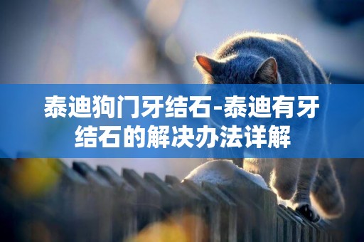 泰迪狗門牙結石-泰迪有牙結石的解決辦法詳解