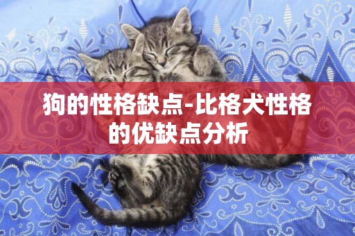 狗的性格缺點-比格犬性格的優缺點分析