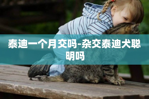 泰迪一個月交嗎-雜交泰迪犬聰明嗎