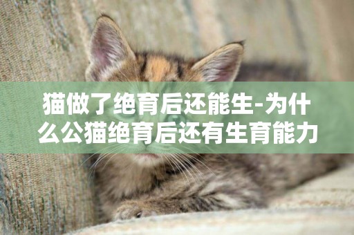 貓做了絕育后還能生-為什么公貓絕育后還有生育能力