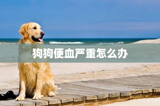 狗狗便血嚴重怎么辦