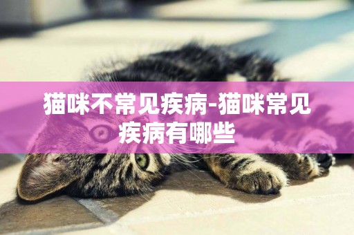 貓咪不常見疾病-貓咪常見疾病有哪些