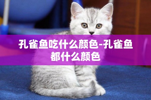孔雀魚吃什么顏色-孔雀魚都什么顏色