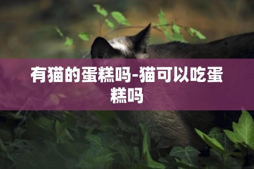 有貓的蛋糕嗎-貓可以吃蛋糕嗎