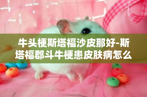 牛頭梗斯塔福沙皮那好-斯塔福郡斗牛梗患皮膚病怎么辦