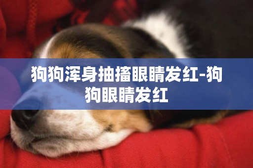 狗狗渾身抽搐眼睛發紅-狗狗眼睛發紅