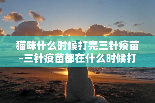 貓咪什么時候打完三針疫苗-三針疫苗都在什么時候打