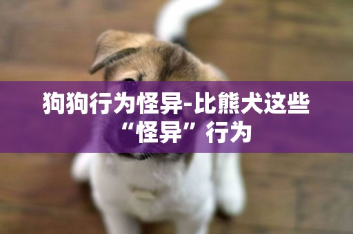 狗狗行為怪異-比熊犬這些“怪異”行為