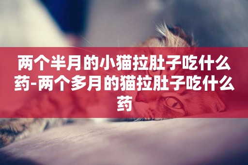 兩個半月的小貓拉肚子吃什么藥-兩個多月的貓拉肚子吃什么藥