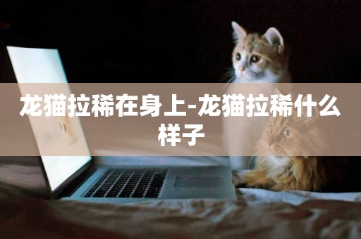 龍貓拉稀在身上-龍貓拉稀什么樣子