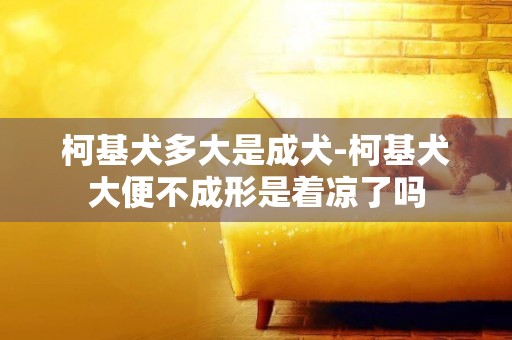 柯基犬多大是成犬-柯基犬大便不成形是著涼了嗎