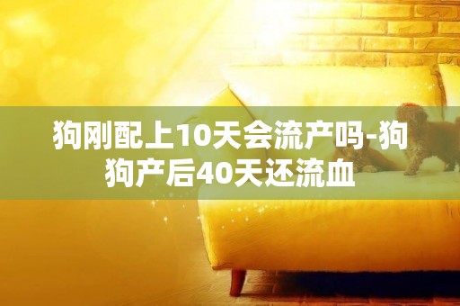 狗剛配上10天會流產嗎-狗狗產后40天還流血