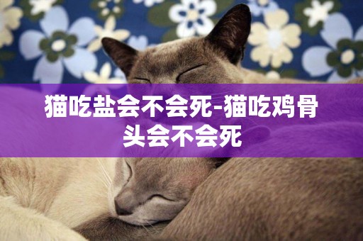 貓吃鹽會不會死-貓吃雞骨頭會不會死