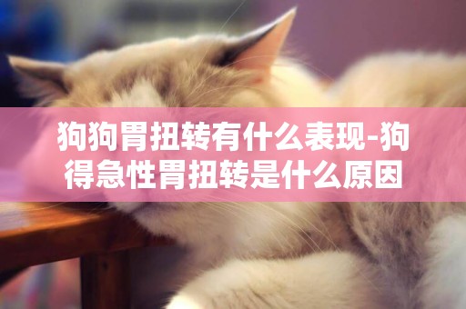 狗狗胃扭轉有什么表現-狗得急性胃扭轉是什么原因