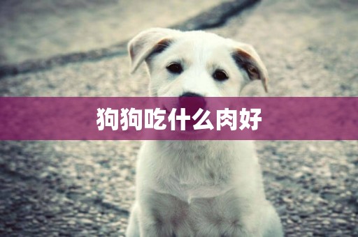 狗狗吃什么肉好