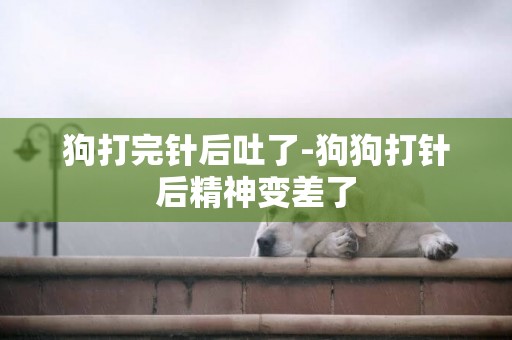 狗打完針后吐了-狗狗打針后精神變差了
