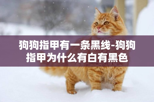 狗狗指甲有一條黑線-狗狗指甲為什么有白有黑色